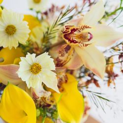 メゾン プルミエールの写真31枚目