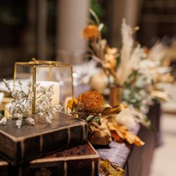 Mia Viaの写真20枚目