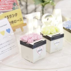 アニヴェルセル 大宮の写真16枚目