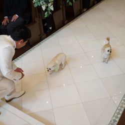 アニヴェルセル 大宮の写真3枚目