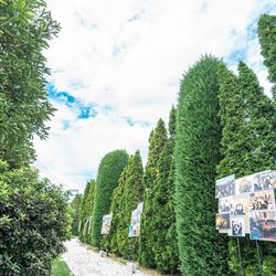 ベイサイド迎賓館 松山の写真9枚目