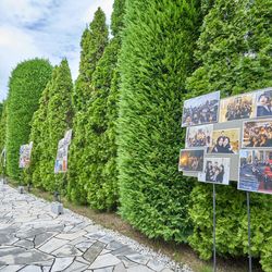 ベイサイド迎賓館 松山の写真18枚目