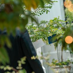 ベイサイド迎賓館 松山の写真27枚目