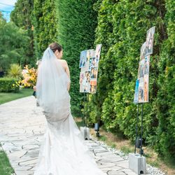 ベイサイド迎賓館 松山の写真33枚目