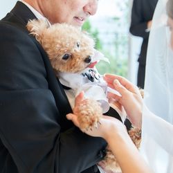 ベイサイド迎賓館 松山の写真19枚目