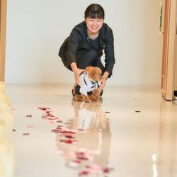 ベイサイド迎賓館 松山の写真5枚目