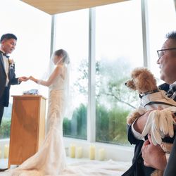 ベイサイド迎賓館 松山の写真3枚目