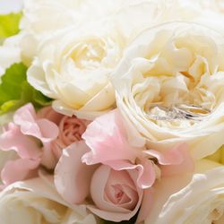 ノートルダム広島の写真9枚目