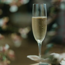 TOASTの写真18枚目