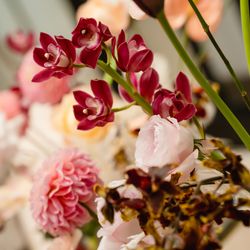 キンプトン新宿東京の写真36枚目