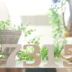 Mia Viaの写真2枚目