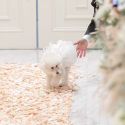 アーフェリーク迎賓館 大阪の写真30枚目