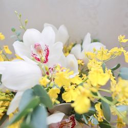 ラ・スイート神戸オーシャンズガーデンの写真32枚目