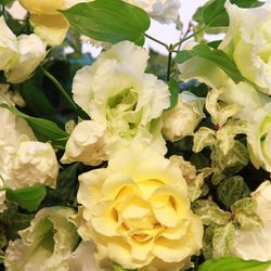 アニヴェルセル 大宮の写真24枚目