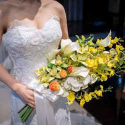 クラシカ表参道の写真26枚目