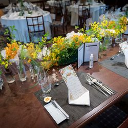 クラシカ表参道の写真20枚目