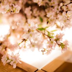 八芳園の写真13枚目