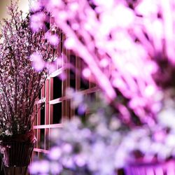 八芳園の写真27枚目