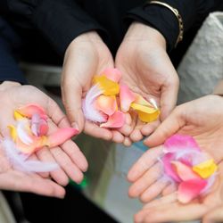 ハートコート横浜の写真24枚目