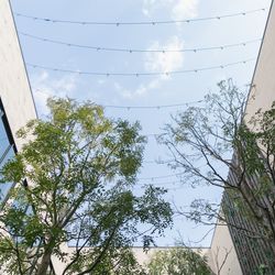 ラソールガーデン名古屋の写真10枚目