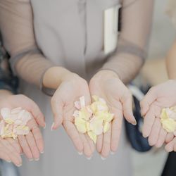 グランドニッコー東京 台場の写真24枚目