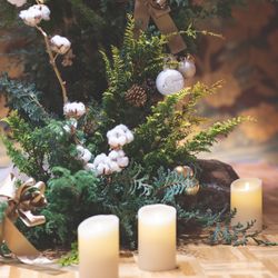 八芳園の写真6枚目