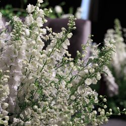 パレスホテル東京の写真31枚目