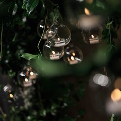 パレスホテル東京の写真14枚目