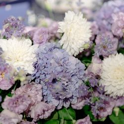 ホテル雅叙園東京の写真18枚目