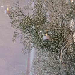 ザ・リッツ・カールトン東京の写真23枚目