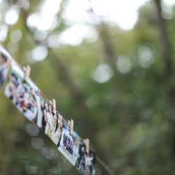 鶴見ノ森 迎賓館の写真8枚目