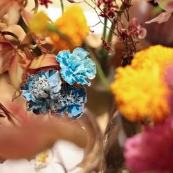 鶴見ノ森 迎賓館の写真35枚目