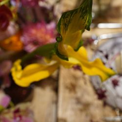 鶴見ノ森 迎賓館の写真27枚目