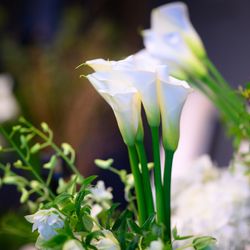 パレスホテル東京の写真18枚目