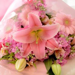 ハートコート横浜の写真27枚目