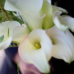 パレスホテル東京の写真11枚目