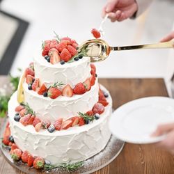 The Forest of Loldの写真16枚目