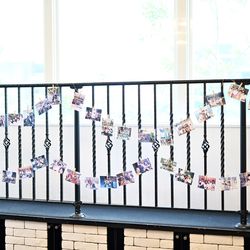 The Forest of Loldの写真7枚目