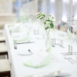 The Forest of Loldの写真18枚目