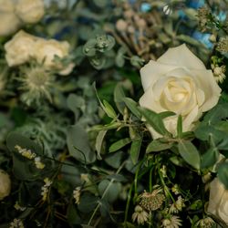 東京會舘の写真16枚目