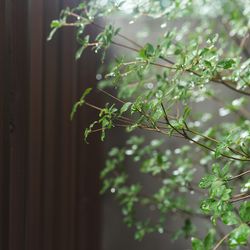 IWAI OMOTESANDOの写真12枚目