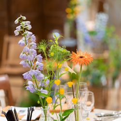 オランジュベールの写真1枚目