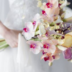 THE SORAKUEN の写真29枚目