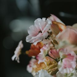 瀬良垣島教会の写真21枚目