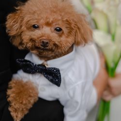 TRUNK HOTELの写真29枚目