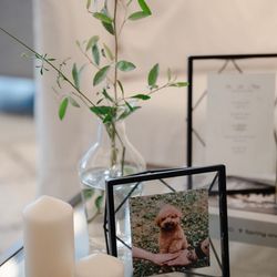 TRUNK HOTELの写真20枚目