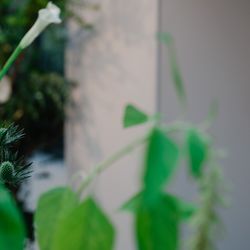 TRUNK HOTELの写真8枚目