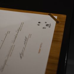 TRUNK HOTELの写真18枚目