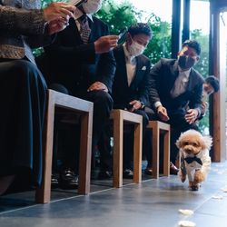 TRUNK HOTELの写真14枚目