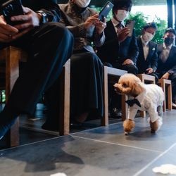 TRUNK HOTELの写真20枚目